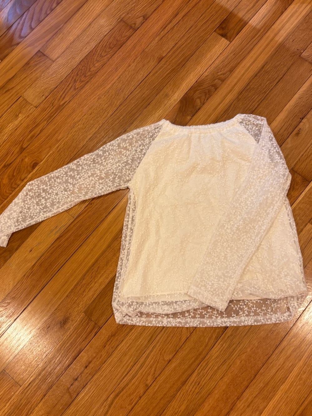 Zara White Sheer Lace Long-Sleeve Top